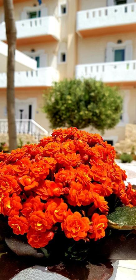 קלמאקי Alonia Hotel מראה חיצוני תמונה